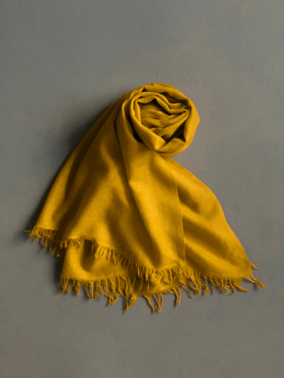 Pashmina Shawl - Ochre